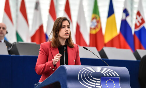Lidia Pereira, Member of the European Parliament